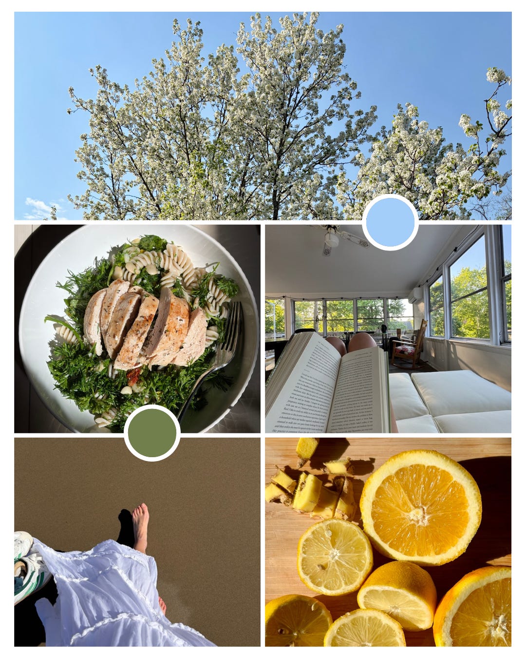 Traditional Chinese medicine practices for relaxing, enjoying, and nourishing your body well Traditional Chinese medicine practices for relaxing, enjoying, and nourishing your body well