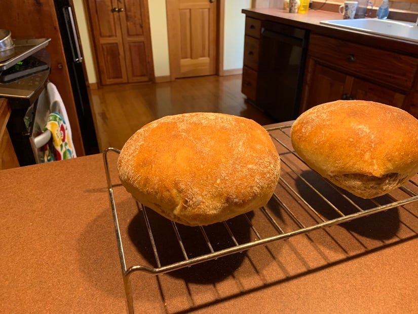 Two loaves of bread on a rack

Description automatically generated