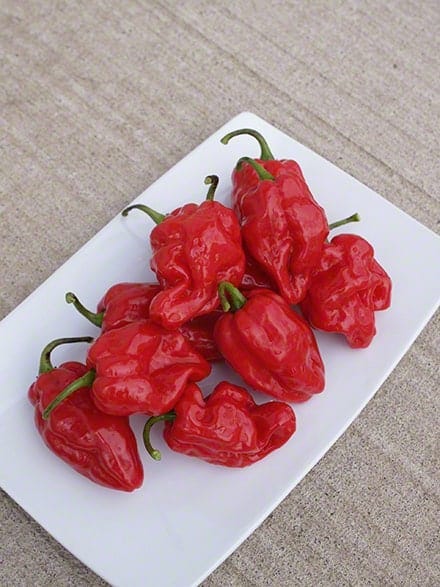 Roulette habanero pepper