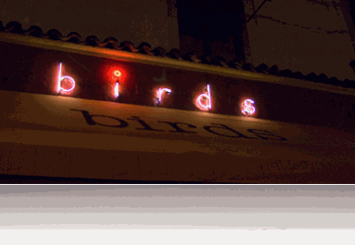 outsidenight2