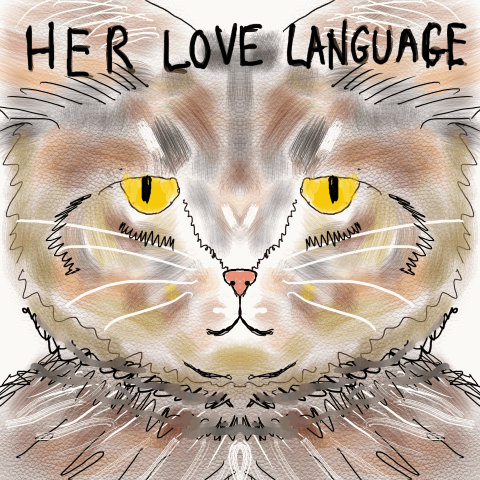 the love language of a cat