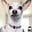 Craigory Spears's avatar