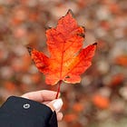 No. 14: The November Favorites + Late and Right on Time 