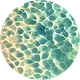 ZEROCROSSING