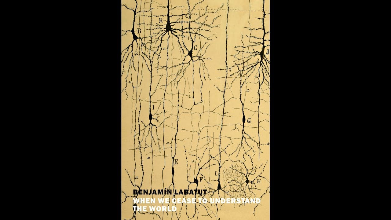When We Cease to Understand the World – New York Review Books