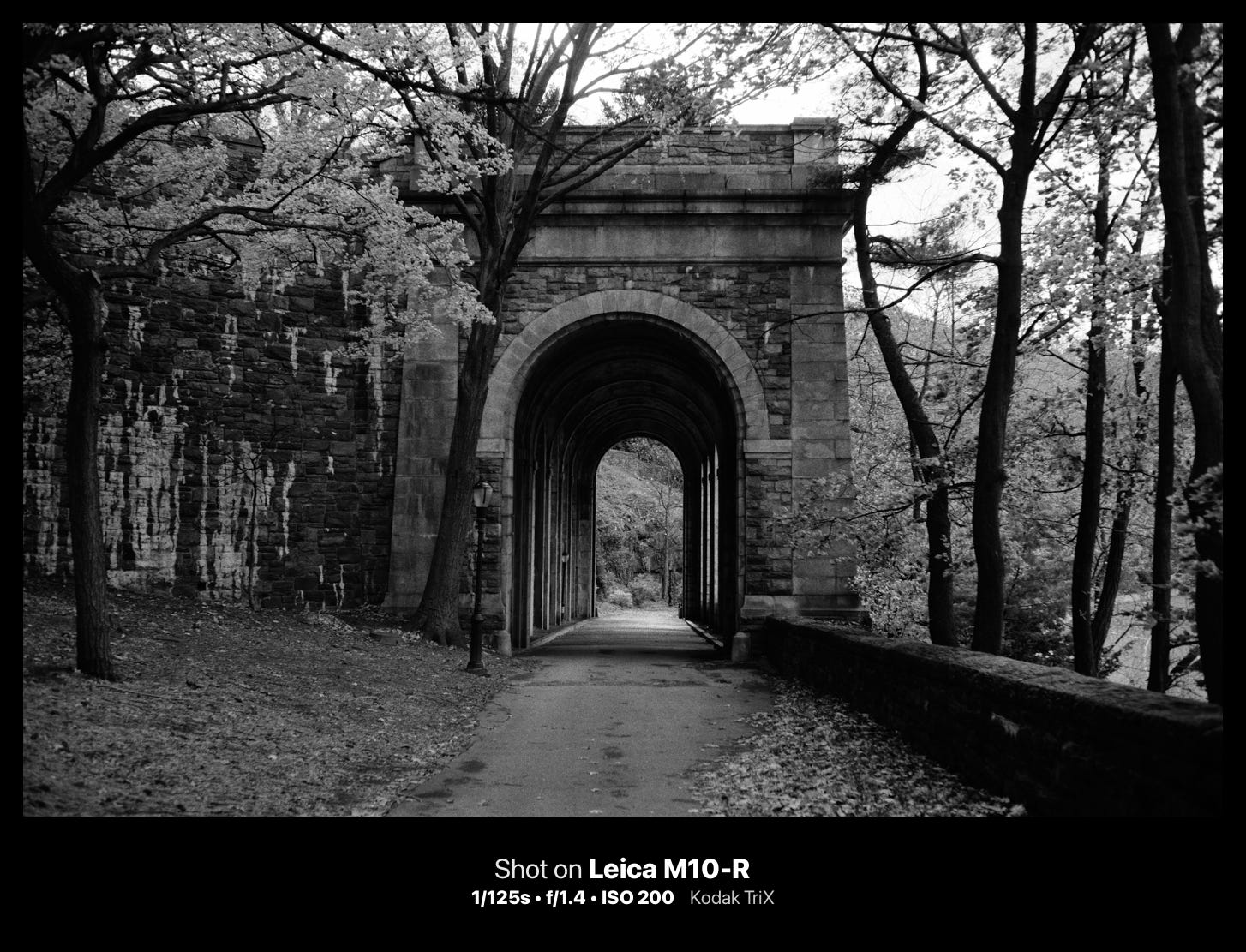 black and white photograph. cameraclara.com all rights reserved.