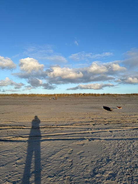 Winnie - Mayima for 50 - the scent of fish in the air - tiny luck - my sentiment on shared stalls - me and the Boba - greetings at the coast - fresh - tea that nails it