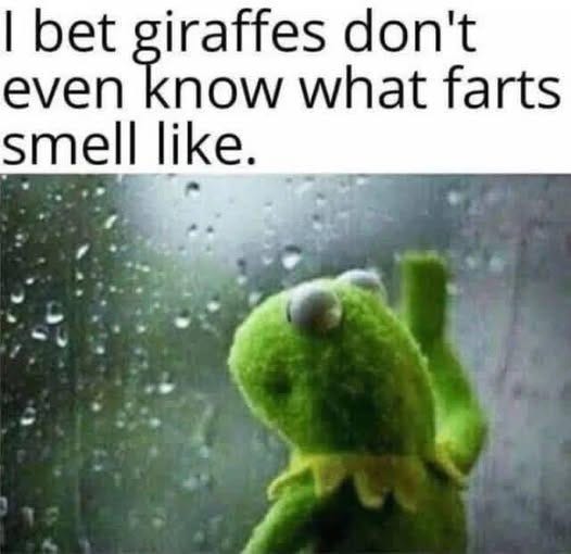 May be an image of text that says 'I bet giraffes don't even know what farts smell like.'