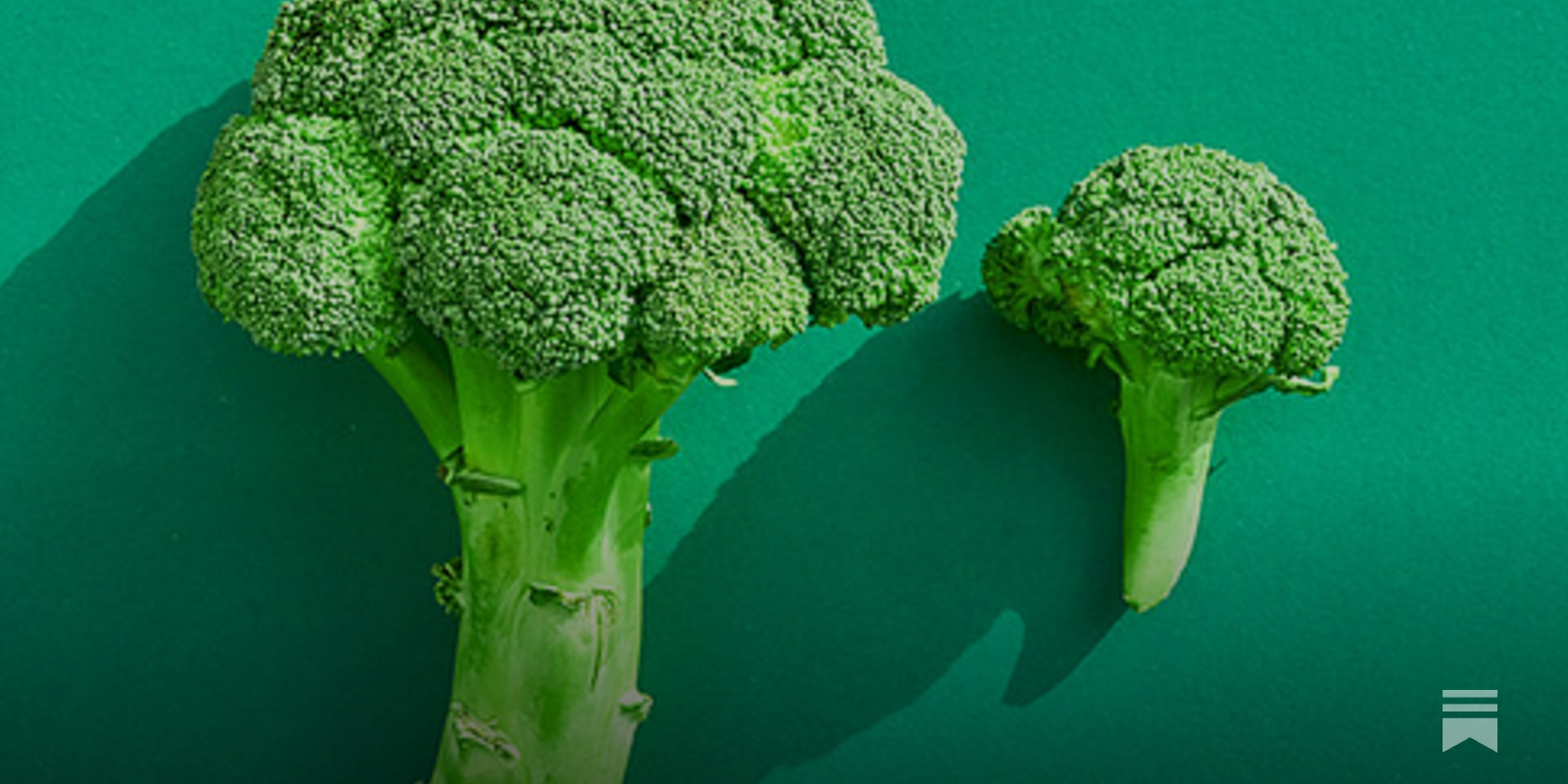 glutathione and broccoli sprouts Scientists found the hidden power of Sulforaphane increases brain glutathione: relevance