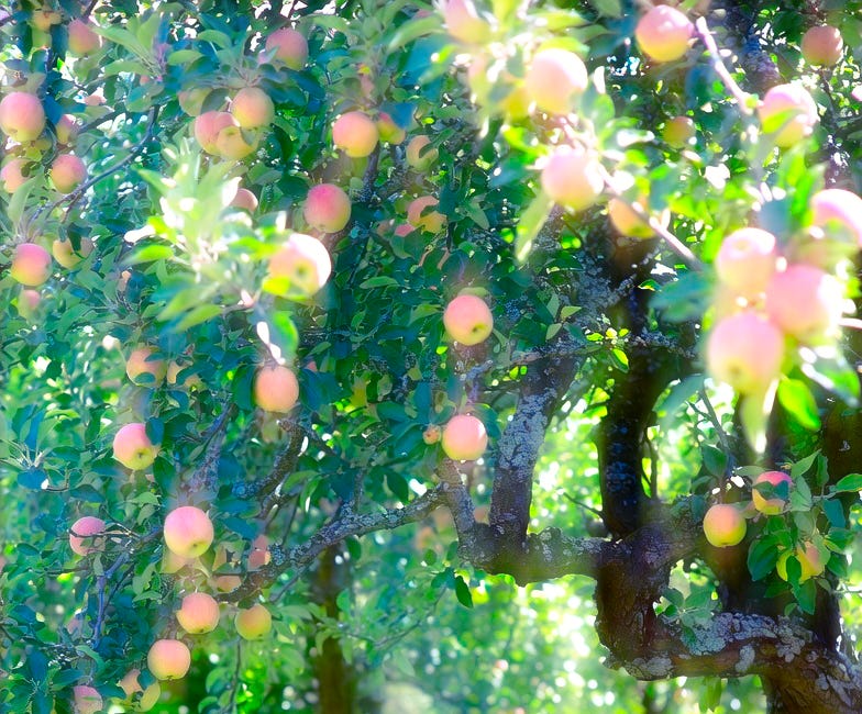Eysin: The Giggling Curtain | Ch. 6 - Marzipan Apples and the Deer That Heard Too Much