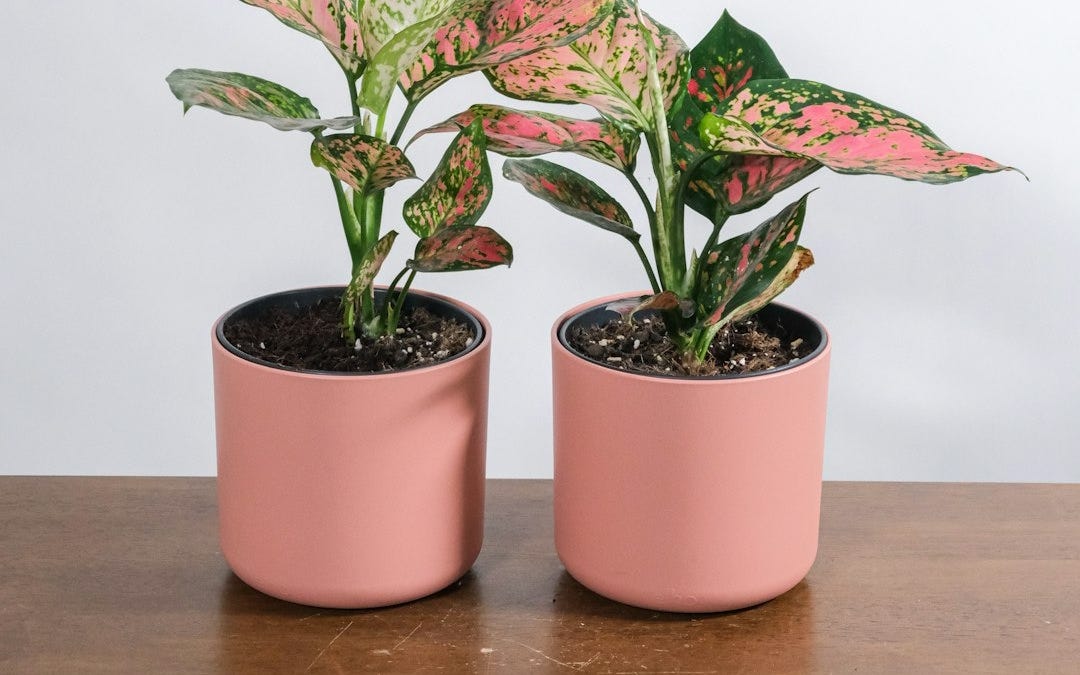 Comments - Why Some Kids Succeed and Others Don’t