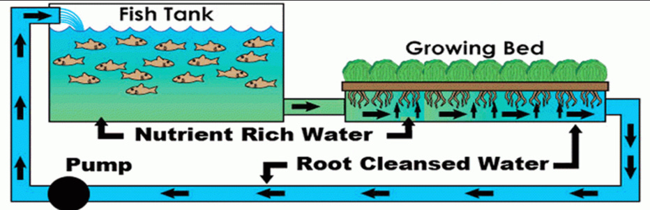 Diagram

Description automatically generated