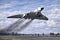 The RAF Chronicle's Substack