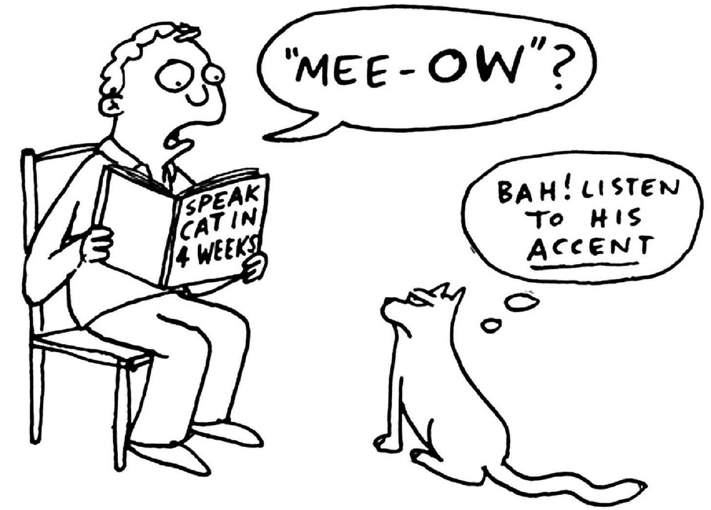 Accent meme : Second Language Strategies