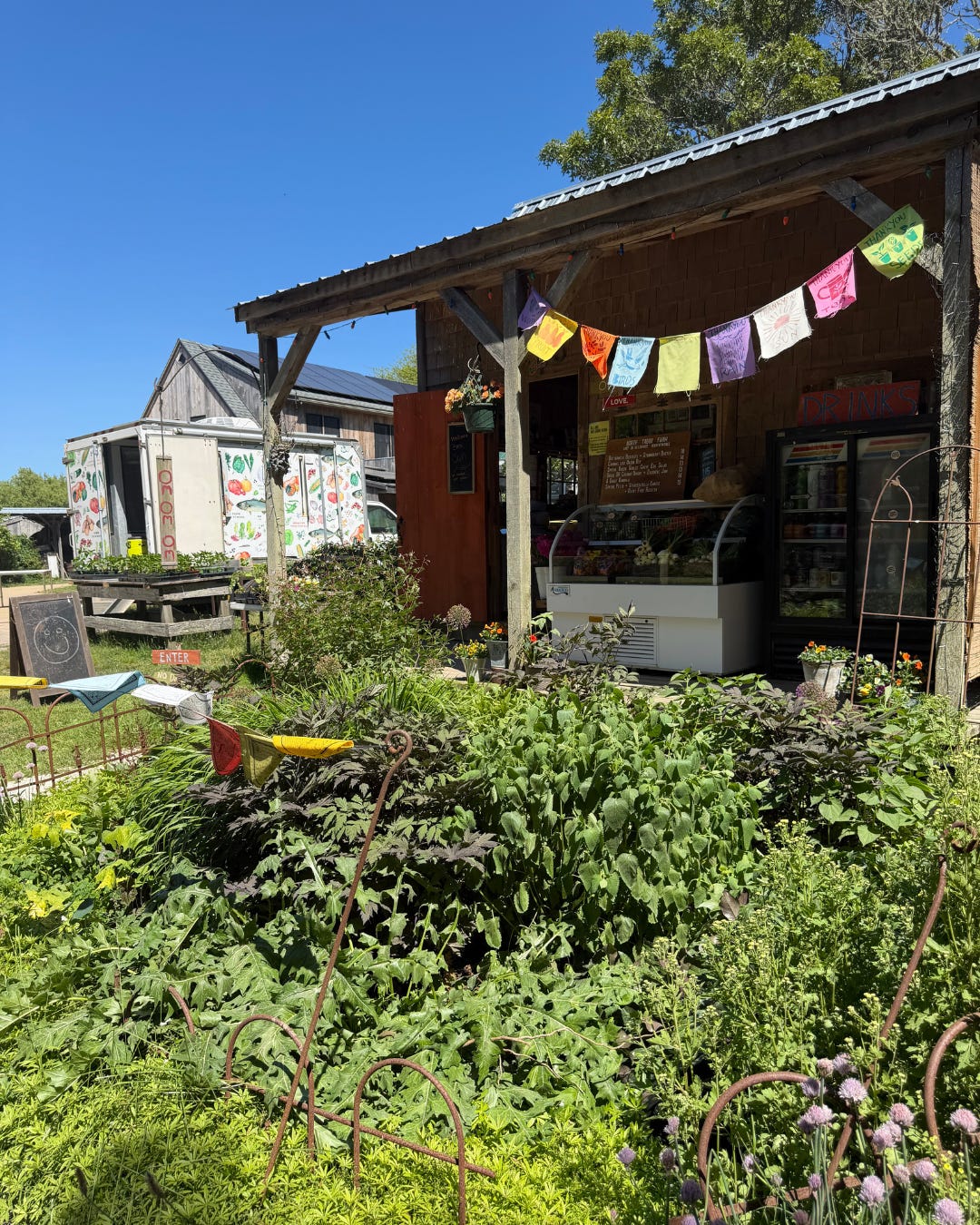 mvacay.com - Lis from MVacay - ‍ How to Explore Martha's Vineyard's Farm + Local Food Community