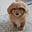 Sunny's avatar