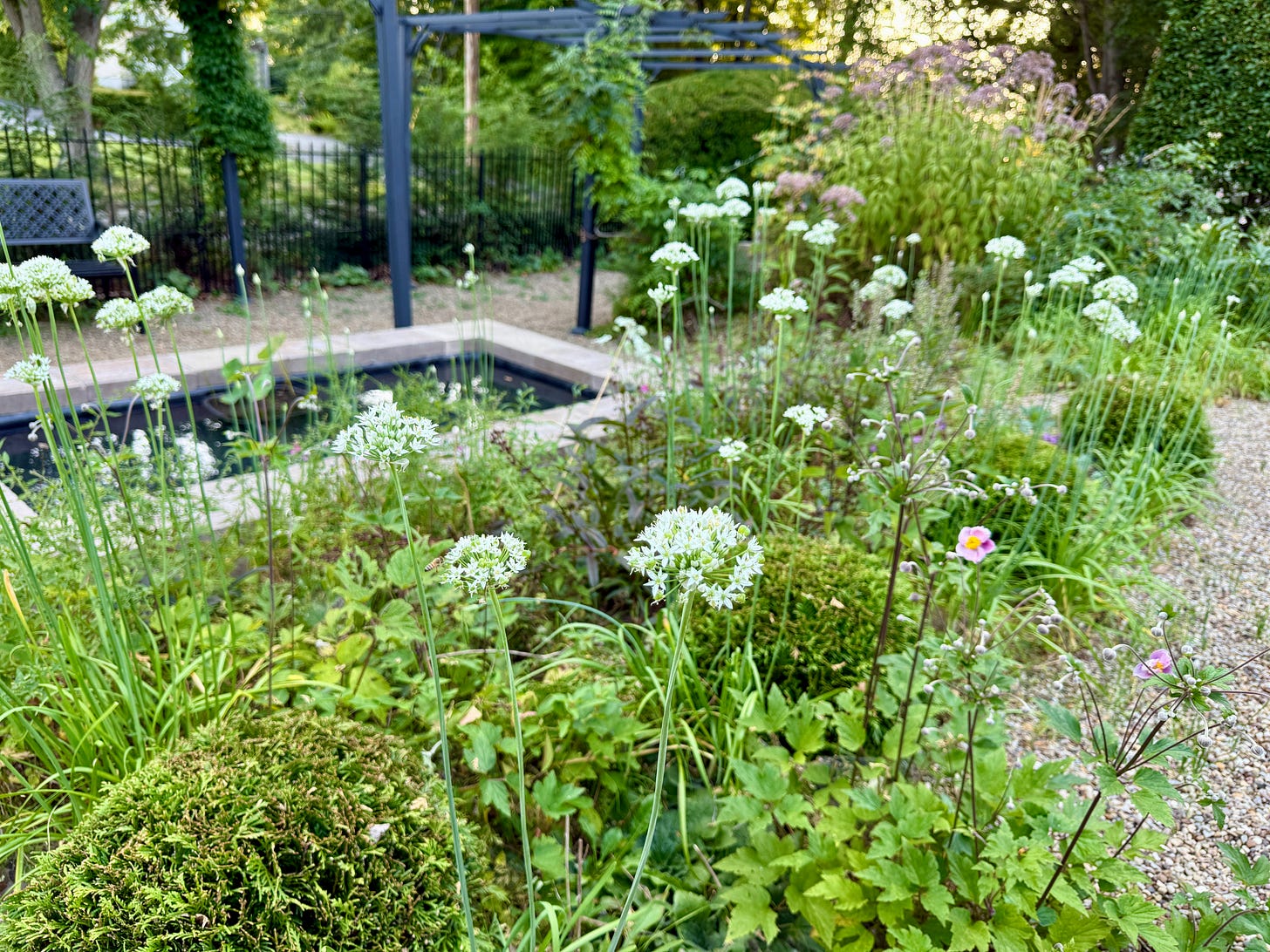 The little bed near the new pool in the Cottage Garden had a trim just a couple of weeks ago.