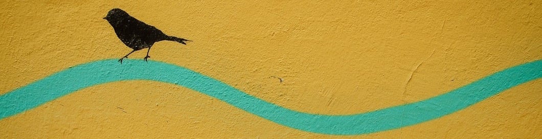 painting of bird painting of bird