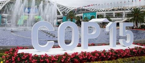 2022 - Montreal could host COP15 this summer - Actual News Magazine