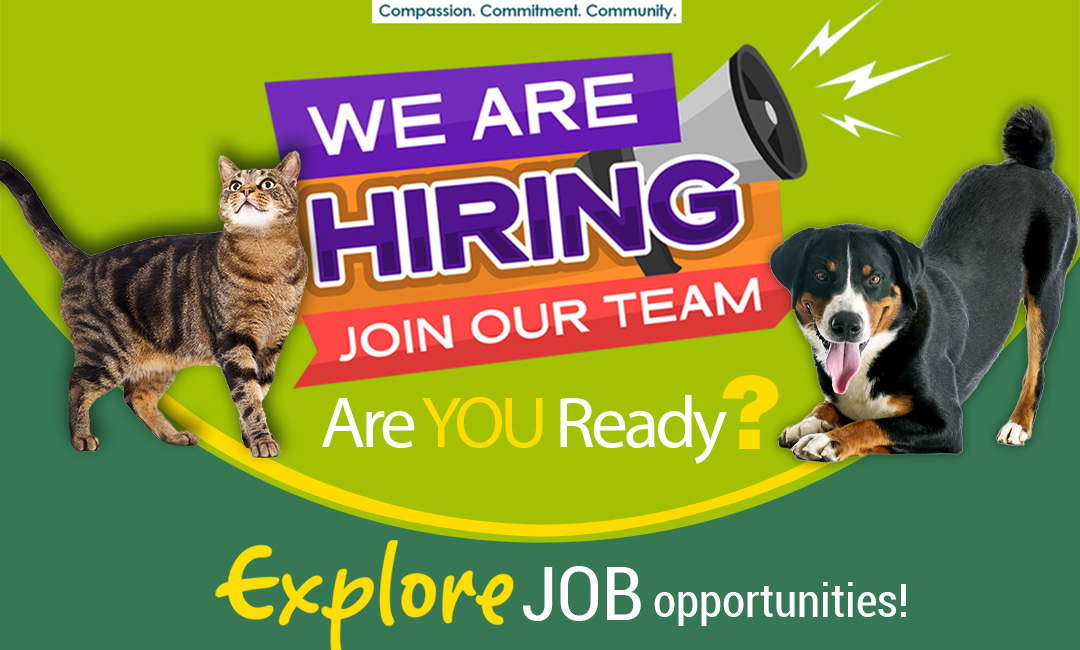 Humane Society of Manatee County Seeks Animal Care Specialists for Full- and Part-Time Roles