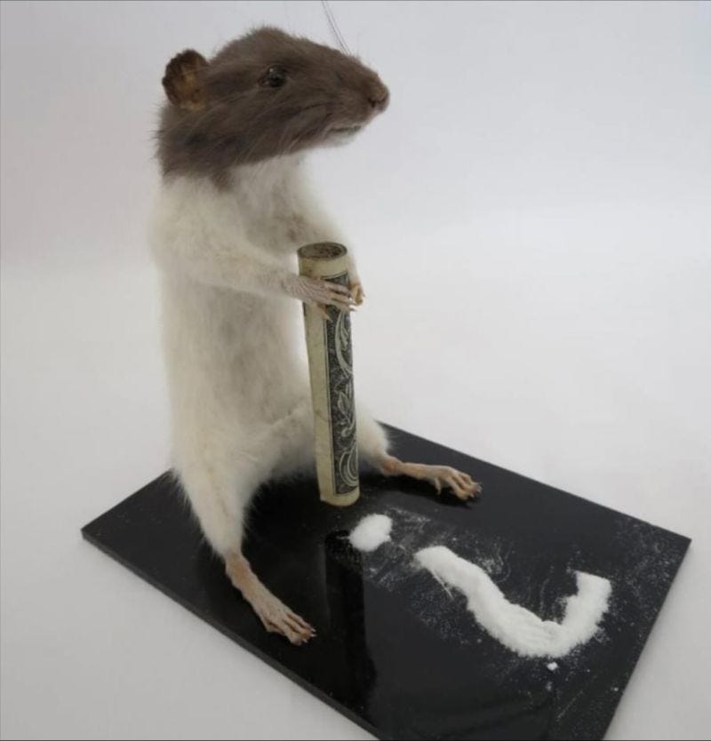 Put a rat in a cage and give it 2 water bottles. One is just ...