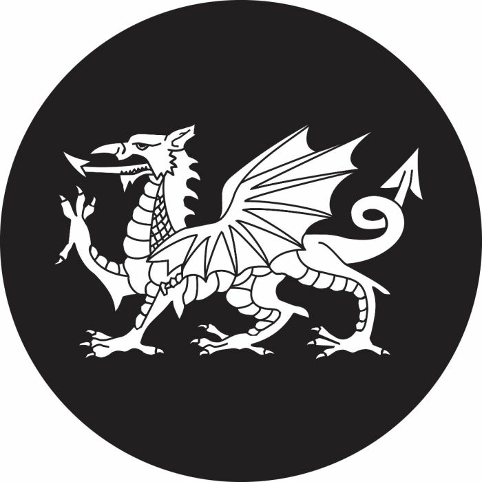 Hiraeth - Longing for the Past