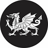 Hiraeth - Longing for the Past