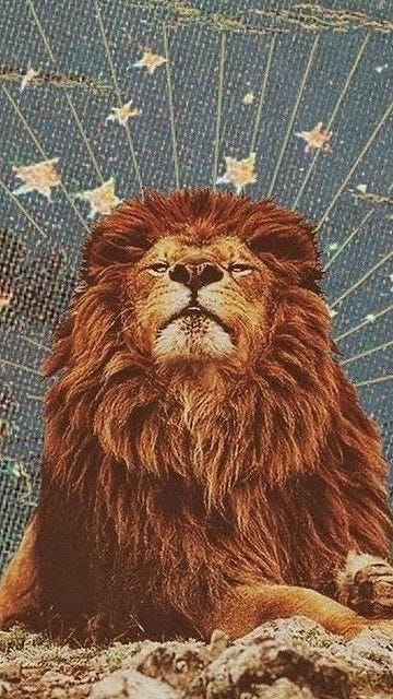a very powerful lions gate lion for 8/8 manifestation 