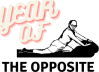 Year Of The Opposite - Travis Stoliker's Substack