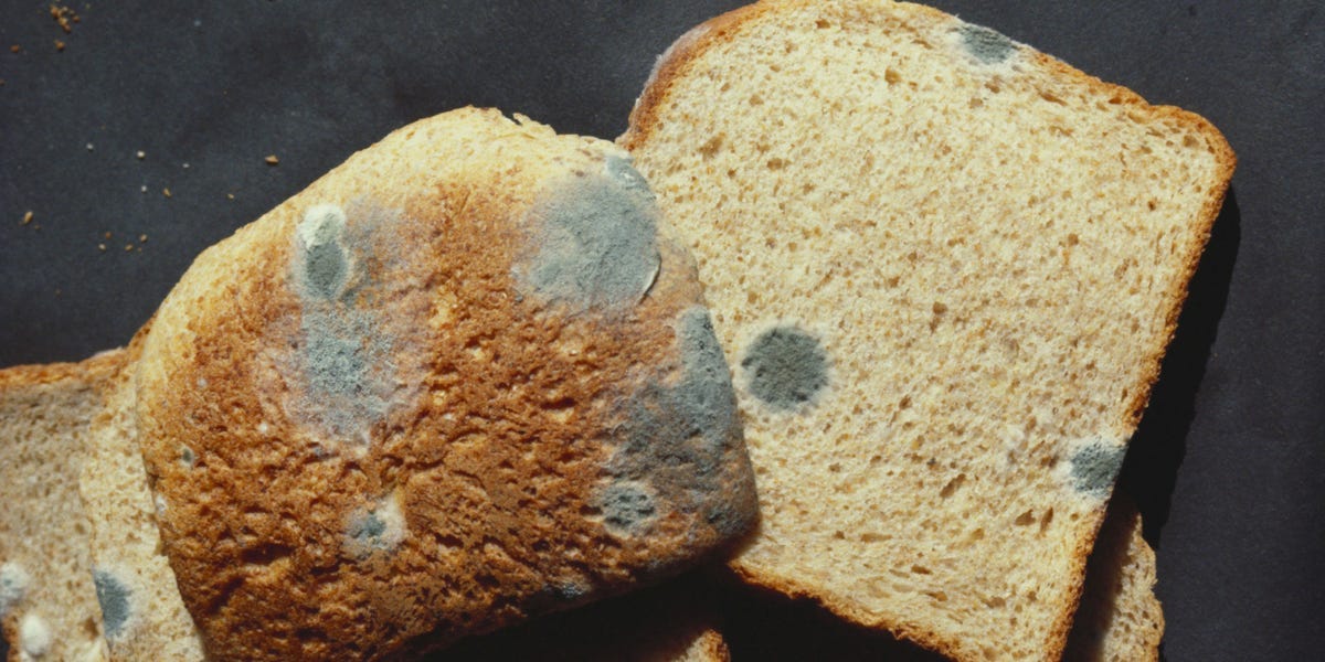 Moldy Bread Safety: Don't Pick Mold Off Bread & Eat The Rest Moldy Bread Safety: Don't Pick Mold Off Bread & Eat The Rest