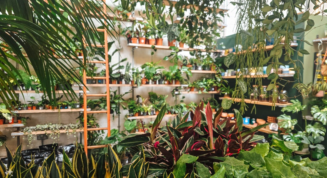 Independent shops in Nottingham: 7 places to go for gorgeous gifts