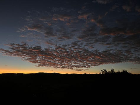 six photos: 1. a bright cloud with pink undertones floating over a hillside in the distance. 2. two trees overlayed on the left hand side of a hillside, blue sky behind with several puffy white clouds to the left of the tree. 3. dark menacing clouds filing the whole sky, with a strip of blue sky just beneath them and then low lying hills below that. 4. the mottled bark of a leopard tree, the colours include white, grey, and browns of all different shades. 5. a sunset photo with pinkish grey clouds, a patch of orange sky and low hills in the background. 6. a misty scene, a big tree fills the foreground and the sun is rising through the mist behind it. 