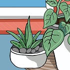 The Beauty & Magic of Indoor Gardens