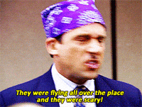 Prison Mike The Office GIFs - Find & Share on GIPHY
