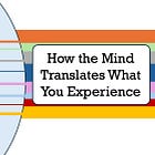 How the Mind Translates What You Experience