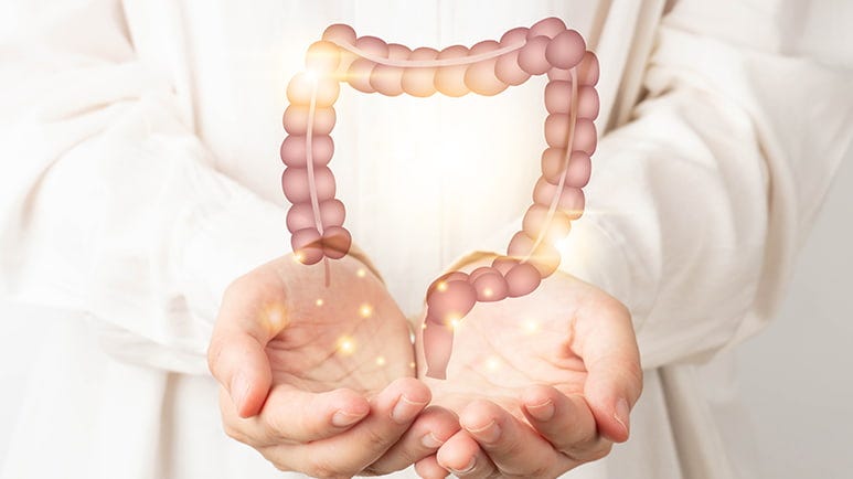 treating sibo holistically