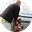 Bob M.'s avatar