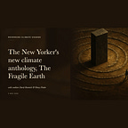 Reversing Climate Change