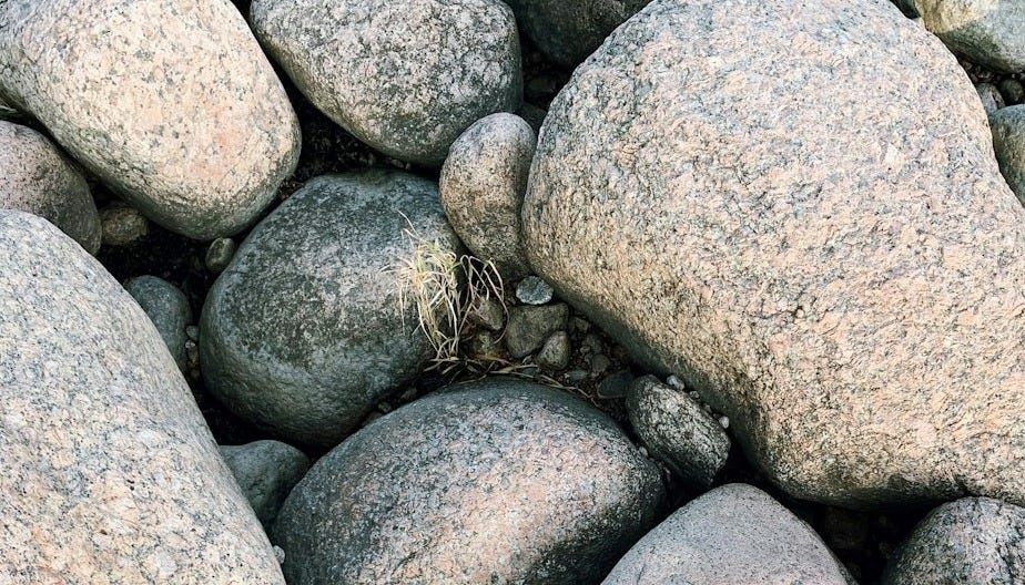 gray and white stone fragments