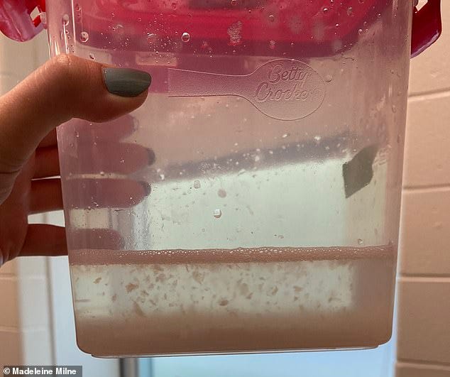 A new study has found that 90 percent of meat and plant-based alternatives Americans consume are loaded with small plastic pieces