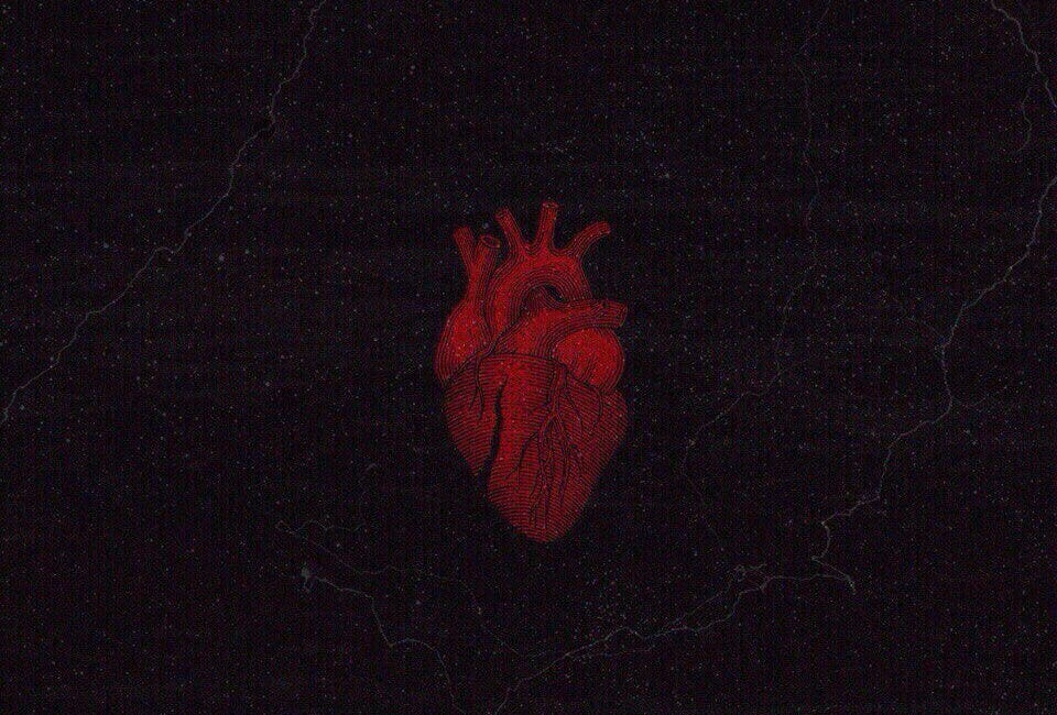 [innards]
