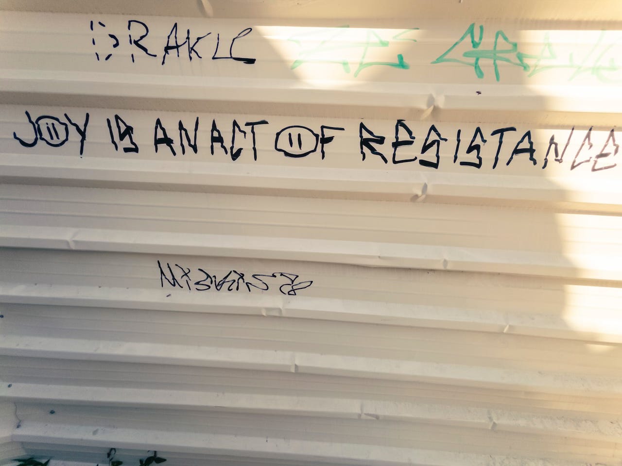 Words on walls: joy is an act of resistance