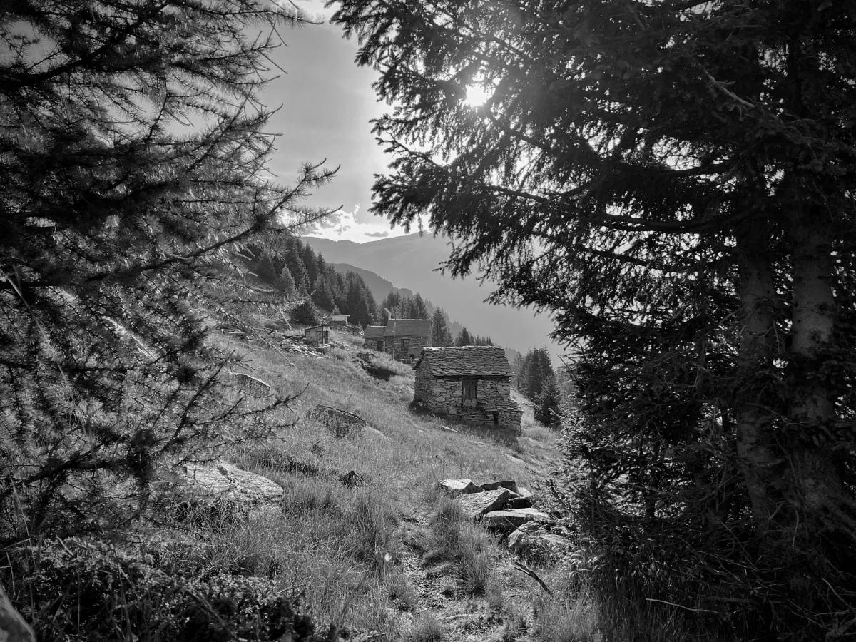 A phone photo I took after revisiting a Swiss mountain where I used to be a cow herder. The photo is of some Stone Mountain huts visible in the trees. A phone photo I took after revisiting a Swiss mountain where I used to be a cow herder. The photo is of some Stone Mountain huts visible in the trees.