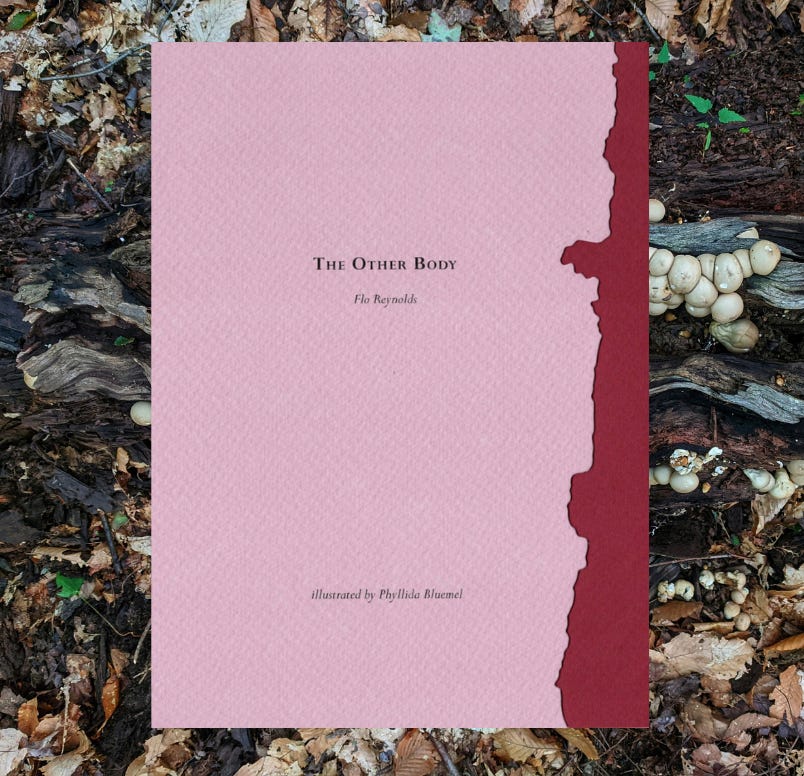 A picture of The Other Body by Flo Reynolds.