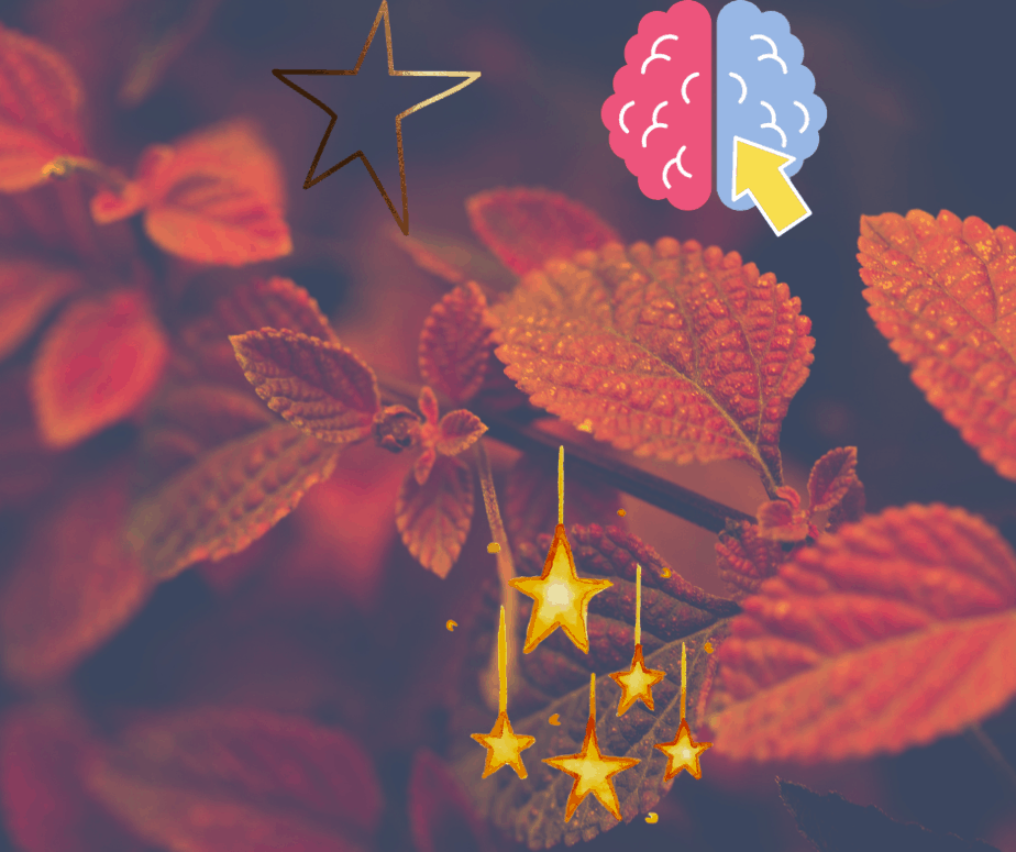 Symbolic image of glowing stars, brain icon, and cosmic elements over red-hued leaves, representing learning, intuition, and the mystical connection in astrology.
