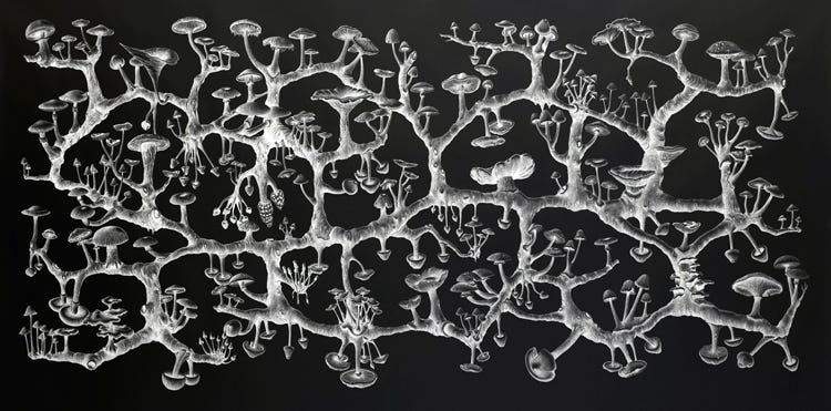 Think like fungus. What is the largest living creature in… | by Meitar  Keshet | Medium