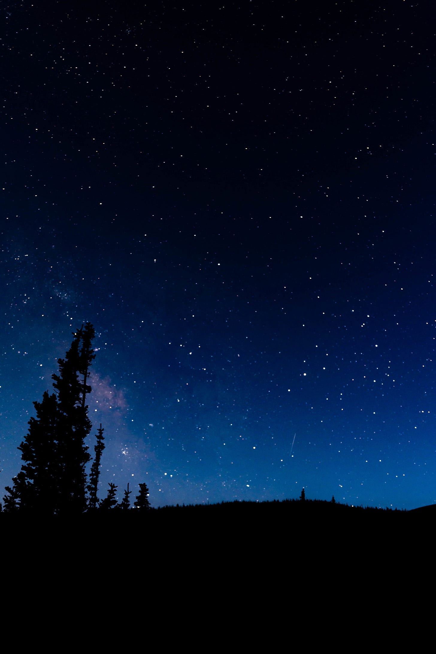  Southern sky, with part of the Milky Way, and a meteor (from the Perseids). 