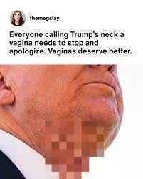 Calling Out Vaginas Deserving Better: Addressing Trump's Neck Controversy Calling Out Vaginas Deserving Better: Addressing Trump's Neck Controversy