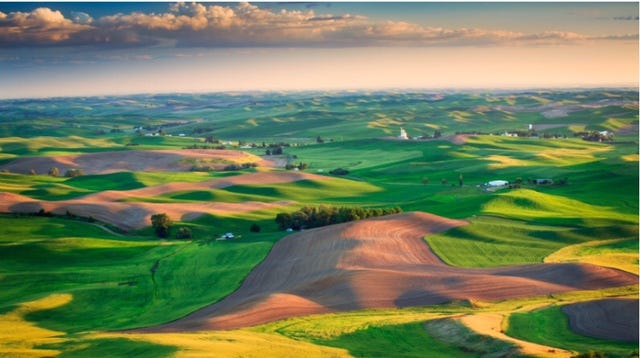Palouse landscape