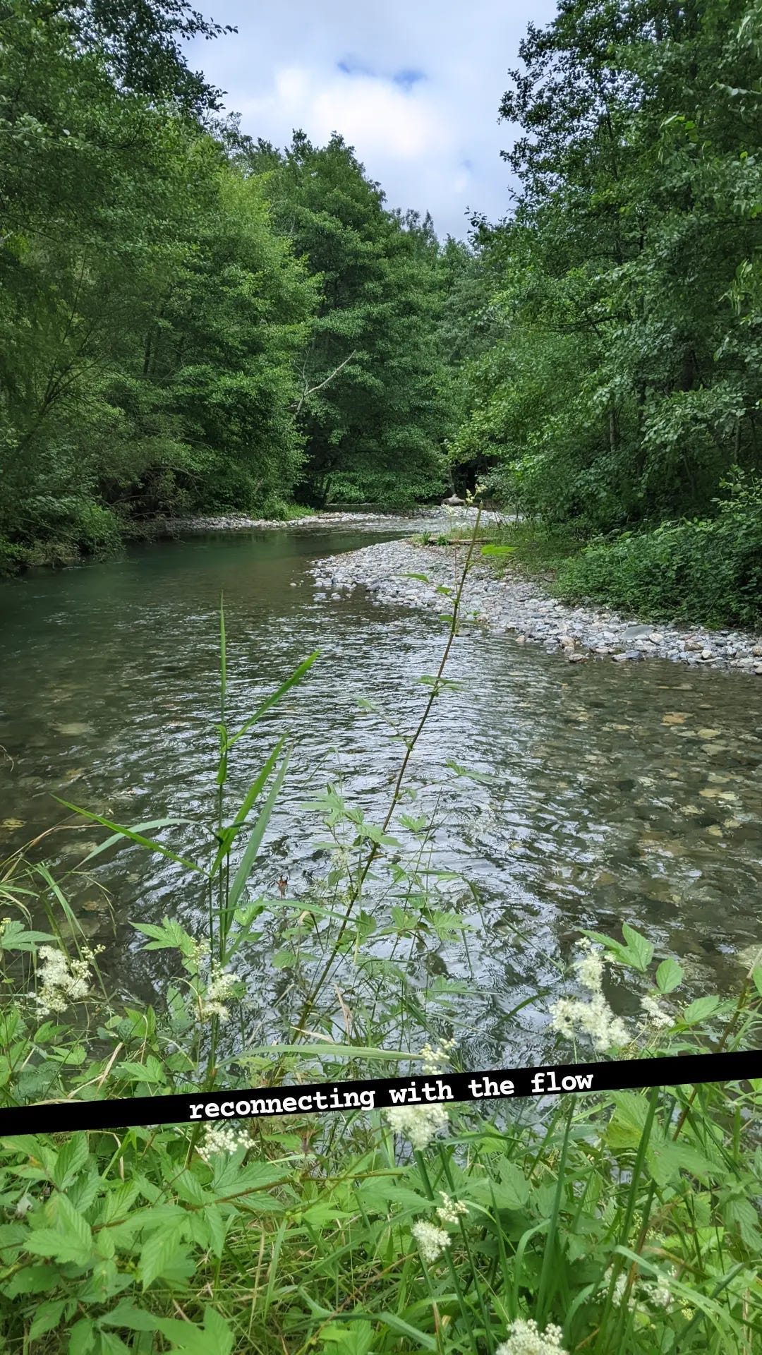 Gave d’Arrens, Hautes Pyrénées, France